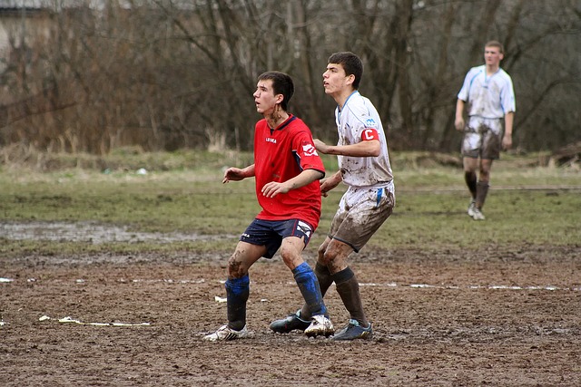 排也启示了 排也启示了