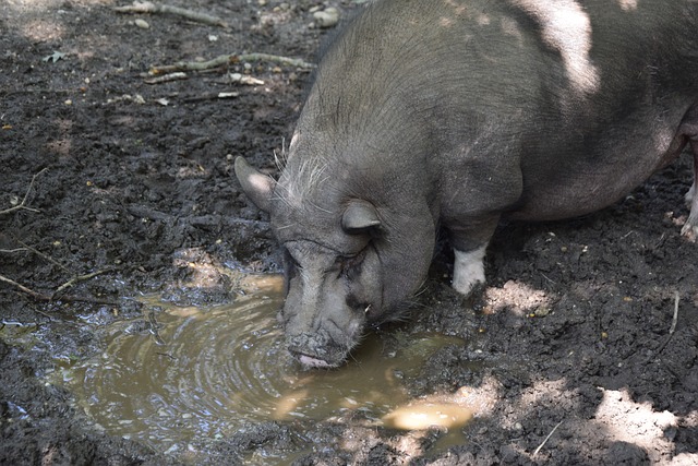 验丰富的选 验丰富的选