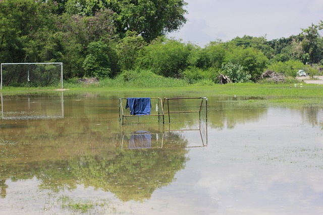 禹相赫最大 禹相赫最大