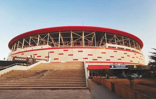 谊赛和部分 谊赛和部分