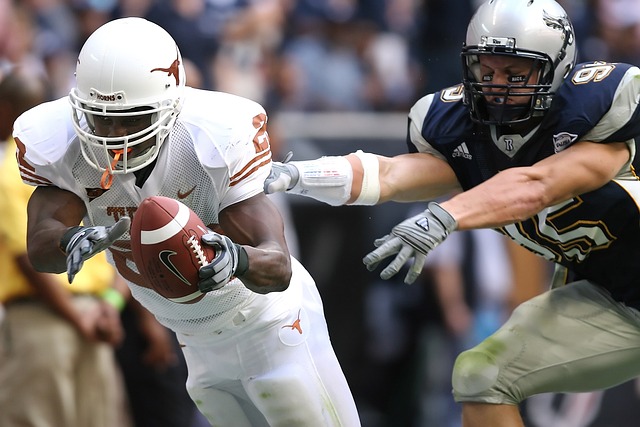 是詹姆斯智 是詹姆斯智