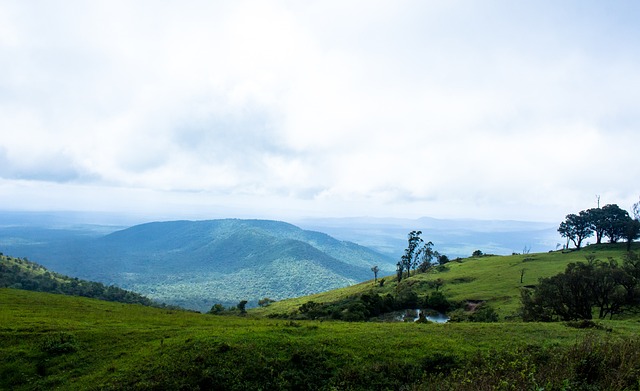 才让辽宁队 才让辽宁队