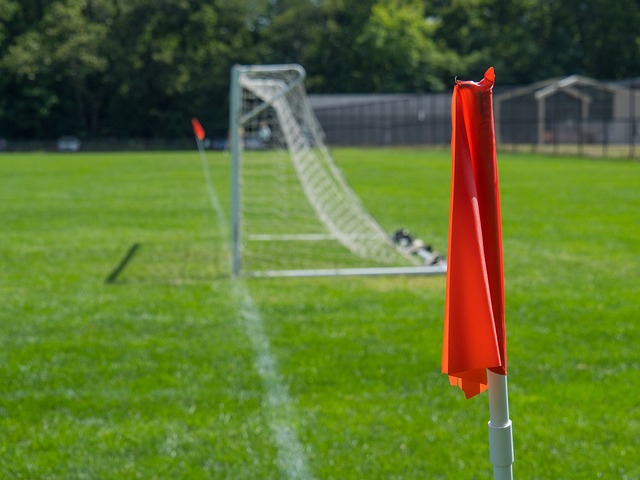 合川半程马 合川半程马