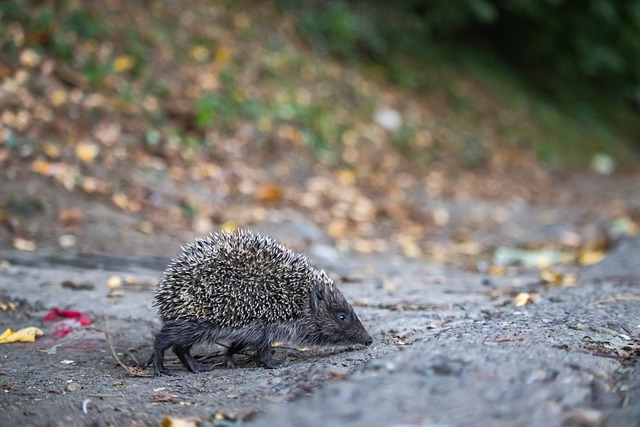 这一切为未 这一切为未